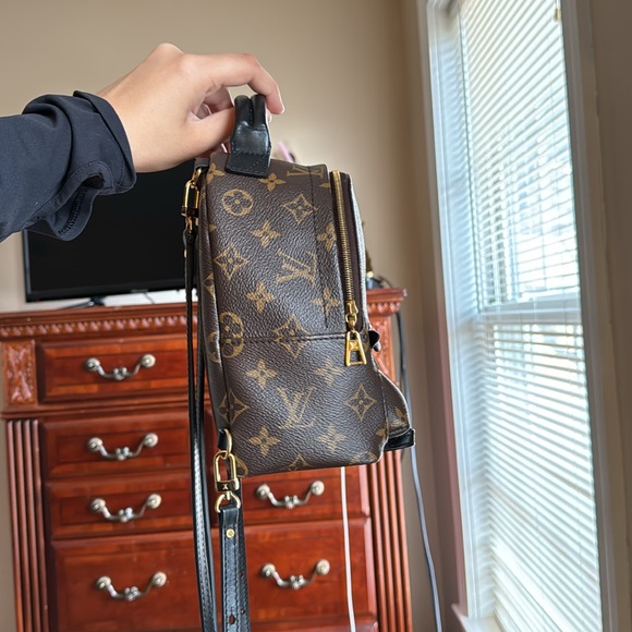 AUTHENTIC Louis Vuitton Palm Springs Mini - Picture 4 of 15